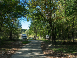 curvy wooded road resized