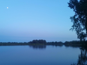 evening river 2 resized