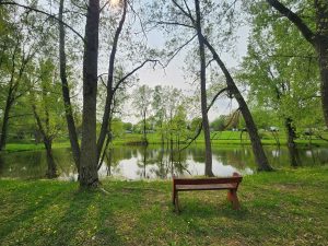 pond bench